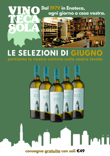 Volantino 2006